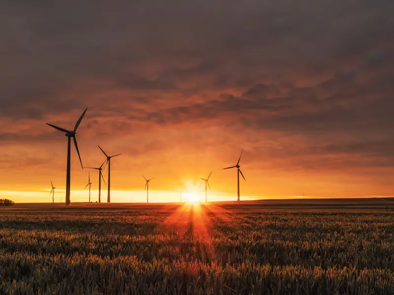 Wind turbines on the horizon above a field at sunset